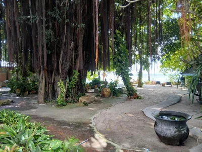 Anodash Homestay – 照片 8