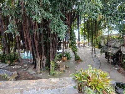 Anodash Homestay – 照片 16